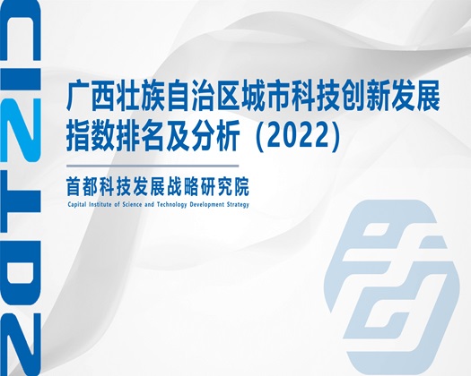 操小穴性高潮不断增强网站【成果发布】广西壮族自治区城市科技创新发展指数排名及分析（2022）